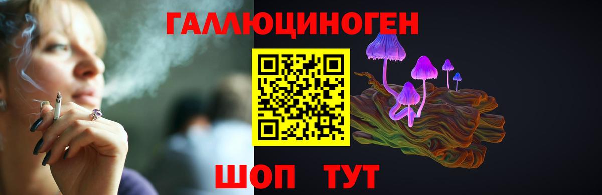 Галлюциногенные грибы Psilocybine cubensis Лесосибирск